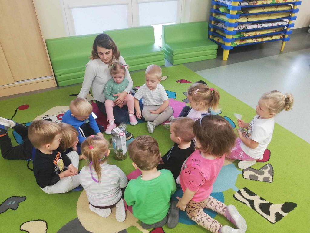 Podsumowanie akcji „Góra grosza” 2023/2024