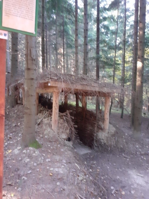 Wycieczka do Pustego Lasu