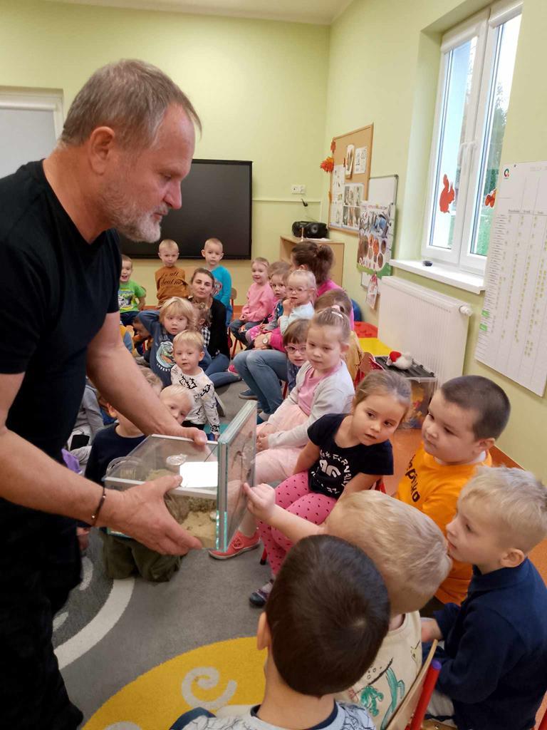 ,, Fascynujący świat mrówek